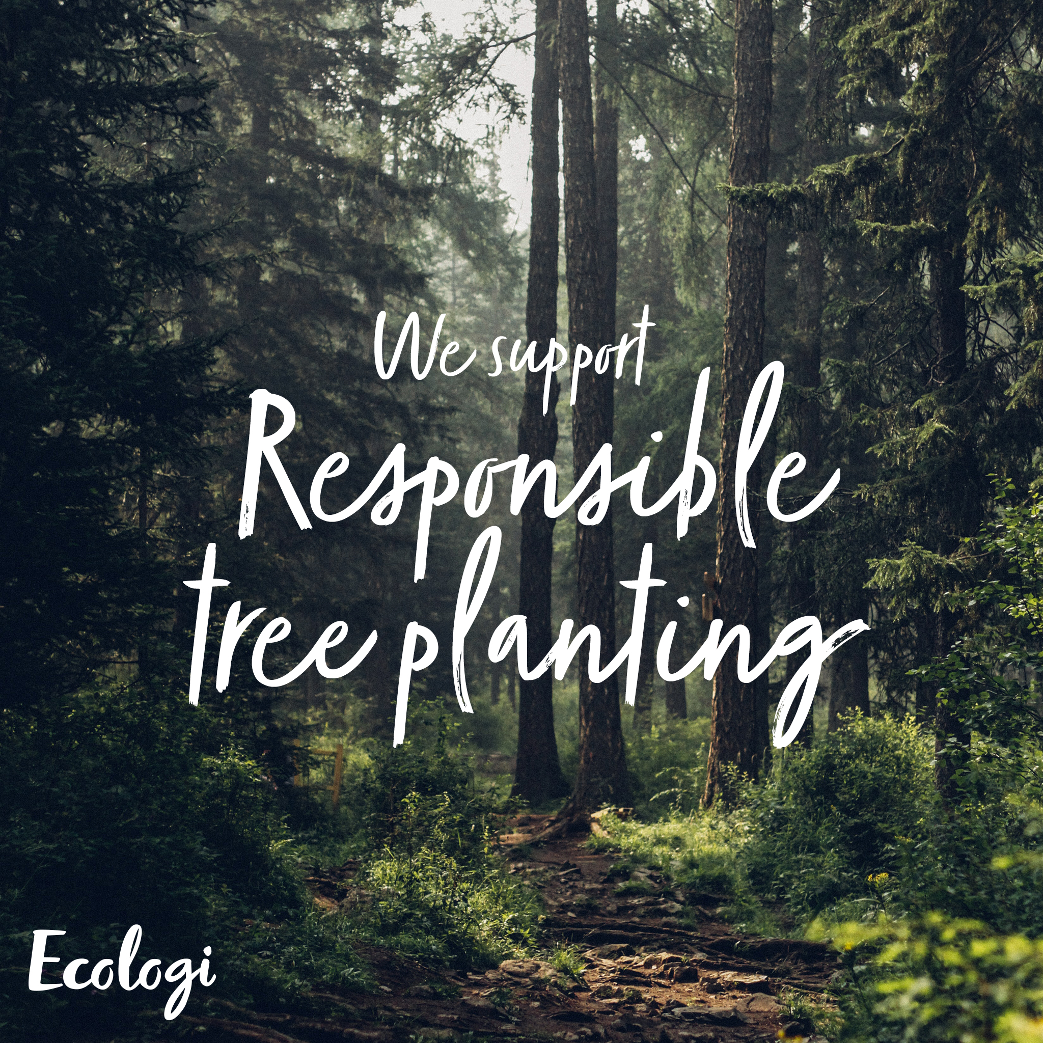 Responsible Tree Planting